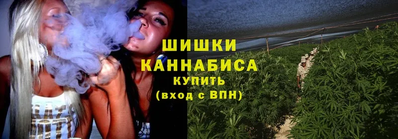 Канабис THC 21%  Гороховец 